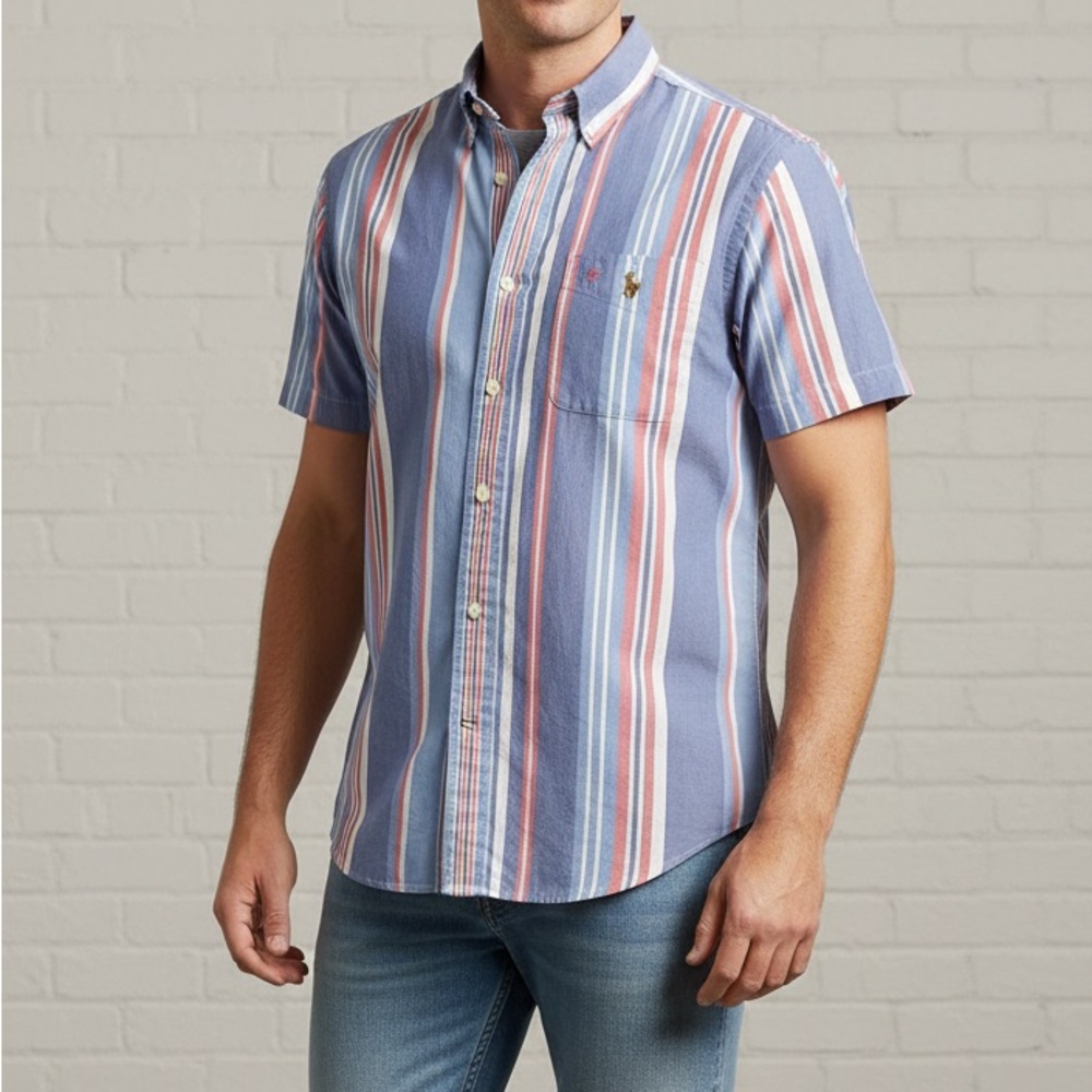 Polo by Ralph Lauren Multicolor Striped Button Down Shirt